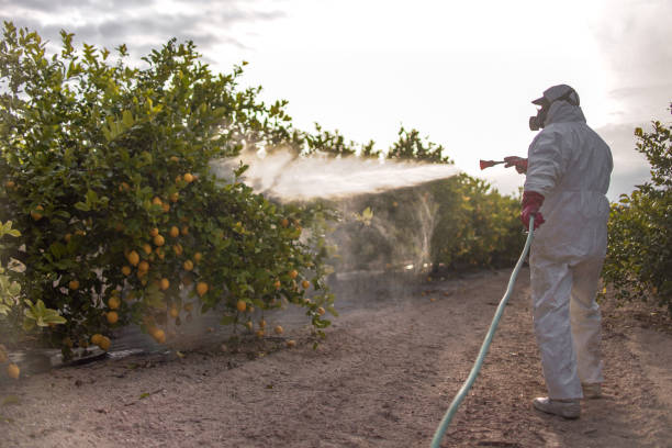 Best Pest Control Treatment  in Lyncourt, NY